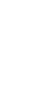 そば切り 石垣